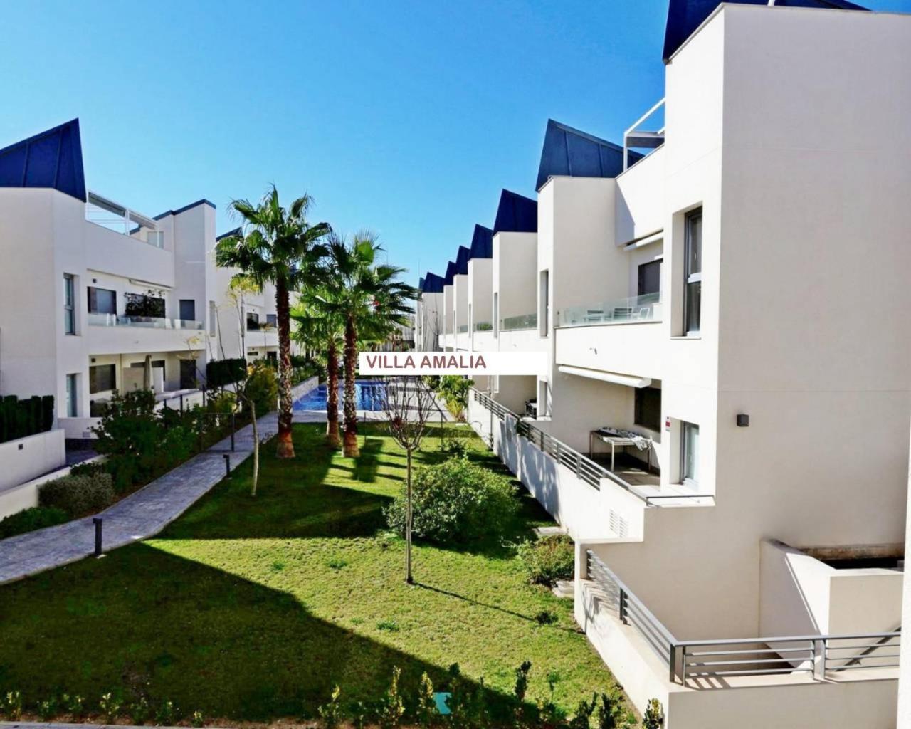 Amalia Torrevieja